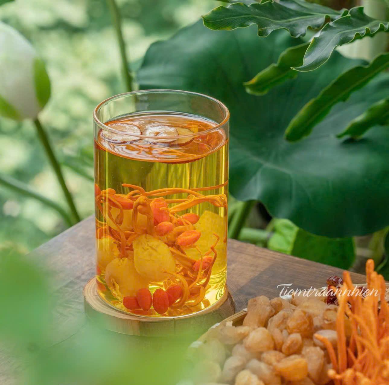 TRÀ ĐÔNG TRÙNG TỨ VỊ – Đẹp Da, Ngủ Ngon, Bồi Bổ Sức Khỏe Toàn Diện