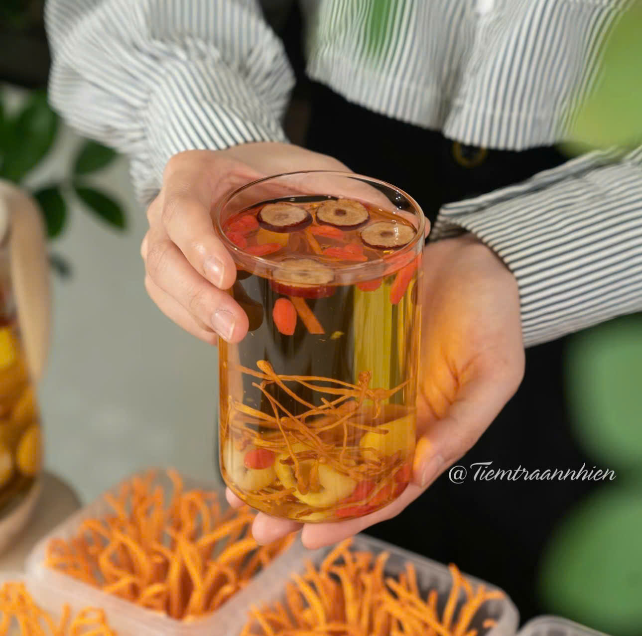 TRÀ THẢO MỘC TỰ NHIÊN