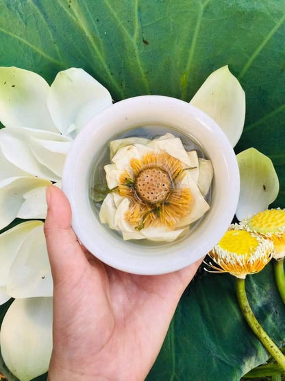 TRÀ SEN HUẾ NGUYÊN BÔNG SẤY LẠNH - AN THẦN, TỐT CHO SỨC KHỎE