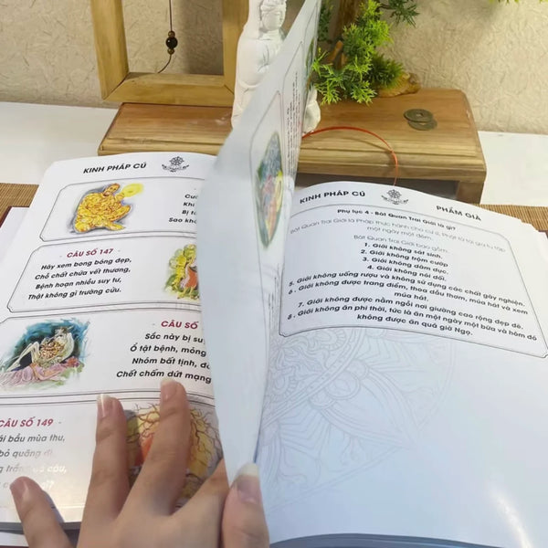 Nguyễn Hoàng Đức (Dallas, TX) review