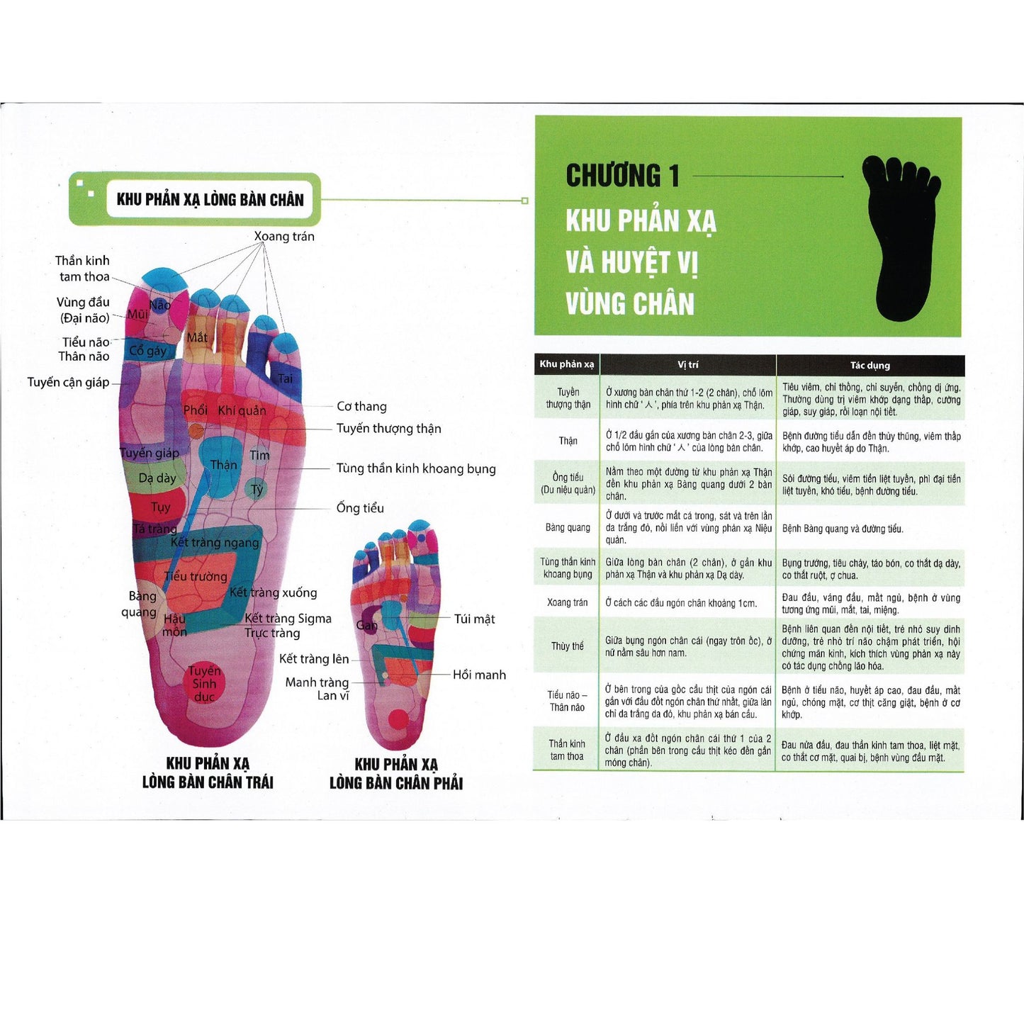 Sách - Liệu pháp chữa bệnh toàn thân - Khu phản xạ