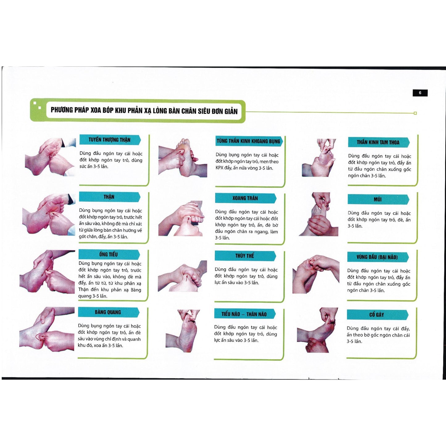 Sách - Liệu pháp chữa bệnh toàn thân - Khu phản xạ