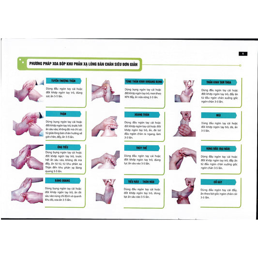Sách - Liệu pháp chữa bệnh toàn thân - Khu phản xạ