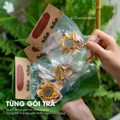 TRÀ SEN HUẾ NGUYÊN BÔNG SẤY LẠNH - AN THẦN, TỐT CHO SỨC KHỎE