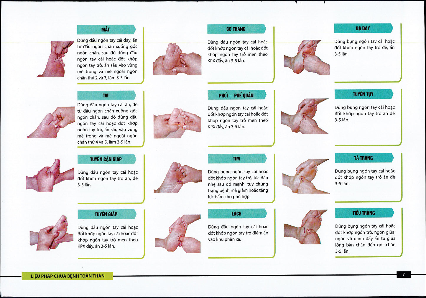 Sách - Liệu pháp chữa bệnh toàn thân - Khu phản xạ