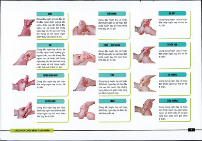Sách - Liệu pháp chữa bệnh toàn thân - Khu phản xạ