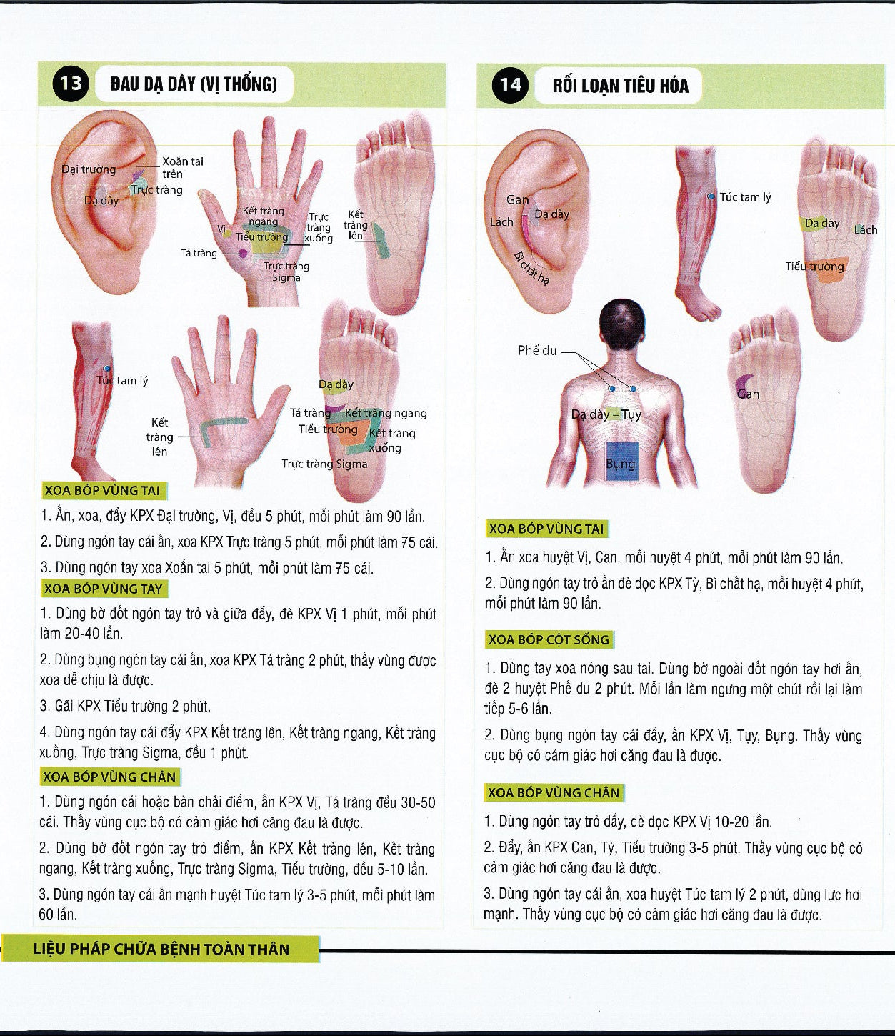 Sách - Liệu pháp chữa bệnh toàn thân - Khu phản xạ