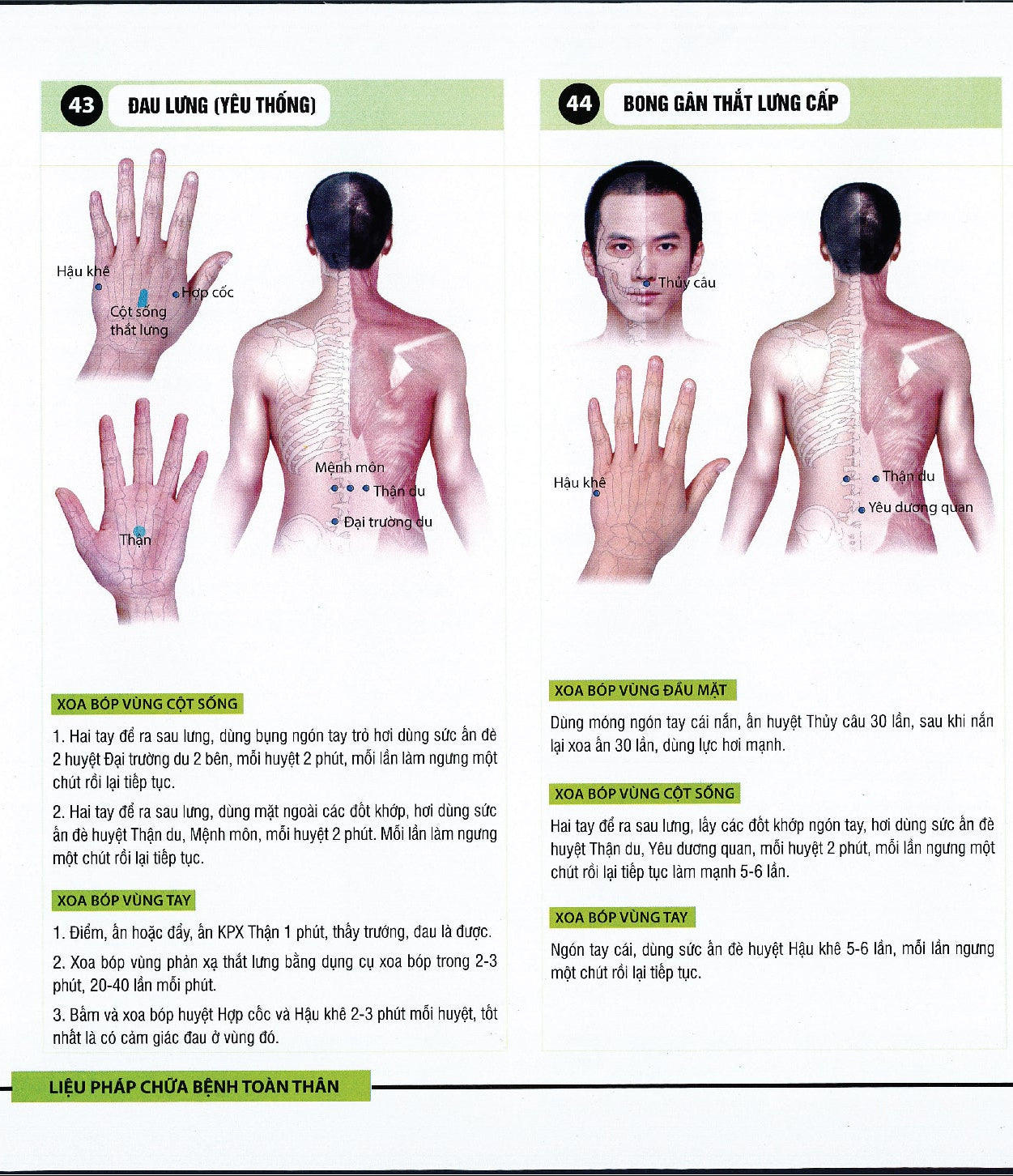 Sách - Liệu pháp chữa bệnh toàn thân - Khu phản xạ