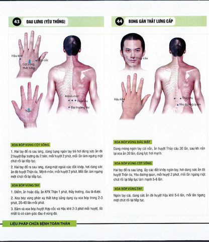 Sách - Liệu pháp chữa bệnh toàn thân - Khu phản xạ