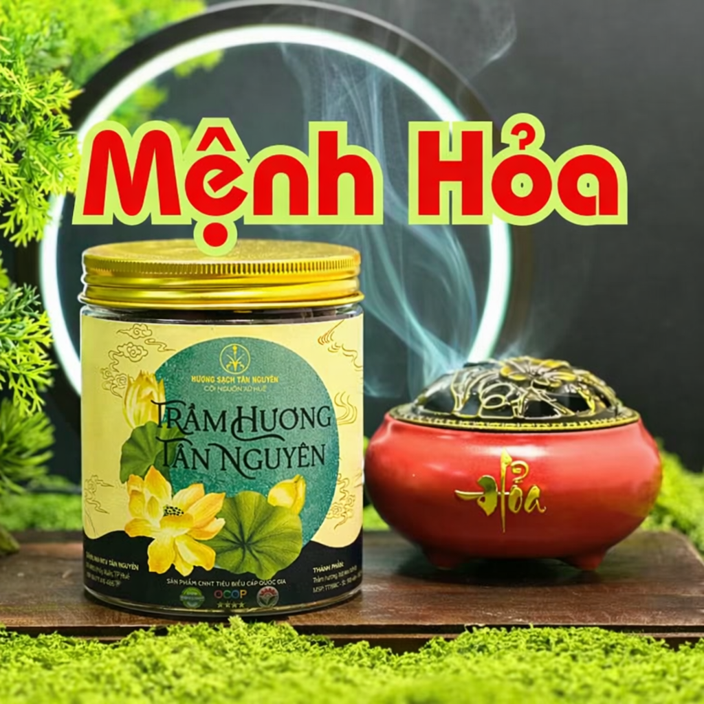 Nụ Trầm Quế 100 viên - Nguyên liệu thiên nhiên an toàn cho sức khỏe - Xông hàng ngày - Mua 1 tặng 1