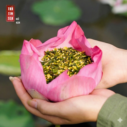 Trà Tâm Sen - Hỗ Trợ Giấc Ngủ Ngon, An Thần, Thanh Nhiệt