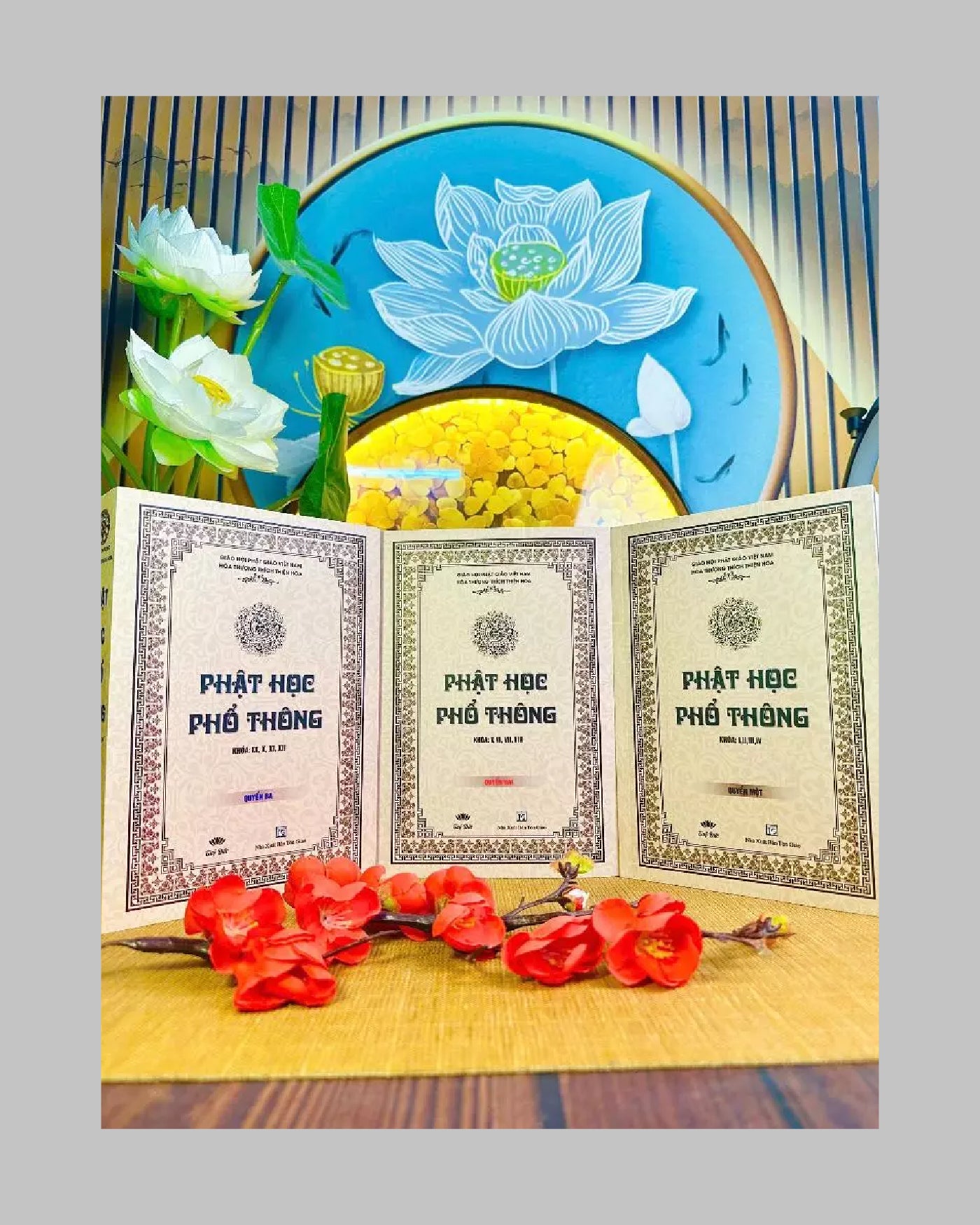 Sách Bộ Sách Phật Học Phổ Thông (3 Tập) – Cố Hòa Thượng Thích Thiện Hoa