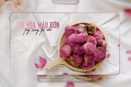 TRÀ QUÝ PHI - CHỐNG LÃO HÓA, ĐIỀU HÒA NỘI TIẾT TỐ, GIẢM CĂNG THẲNG ĐẸP DA