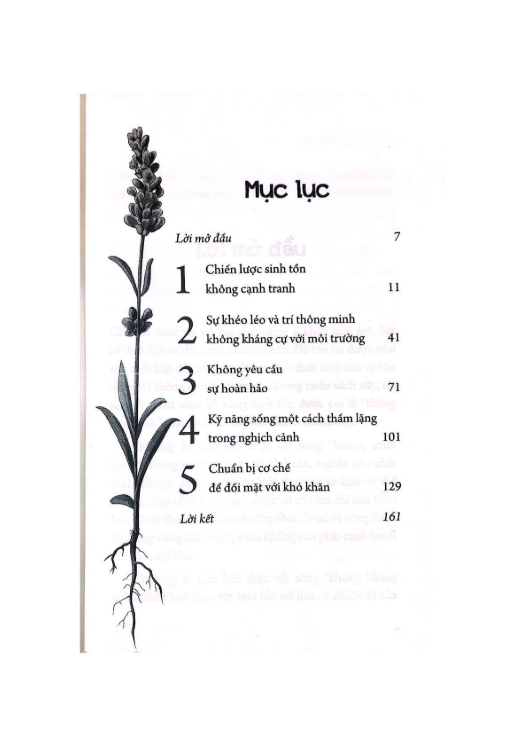 SỐNG NHƯ MỘT CÁI CÂY