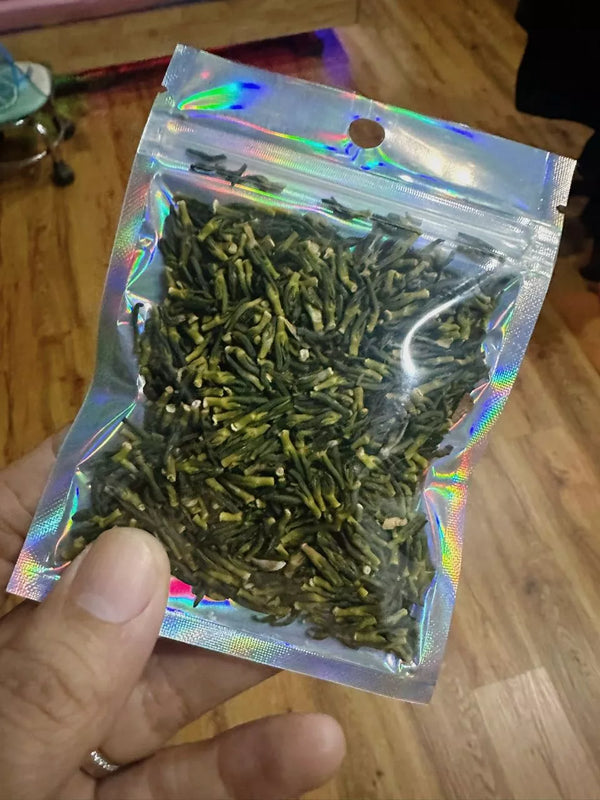 Cô Lan Nguyễn (Houston, Texas)